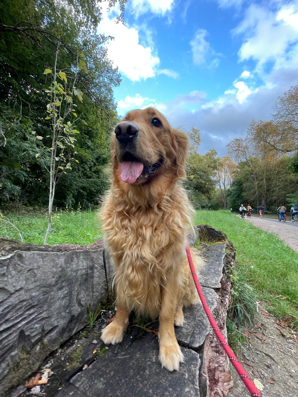 Promenade encadrée
