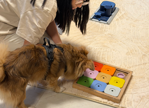 Integration day at Doggy's